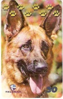 BA-879 - Cachorros - 04/10