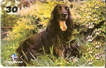 BA-876 - Cachorros - 01/10