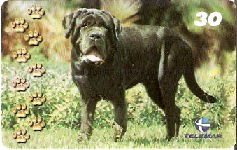 BA-880 - Cachorros - 05/10