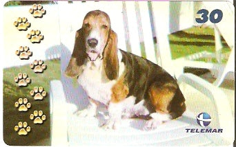 BA-882 - Cachorros - 07/10