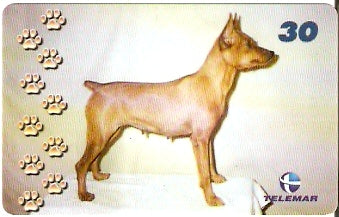 BA-884 - Cachorros - 09/10