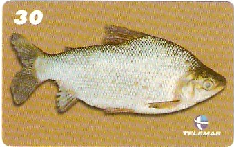 MA-259 - Peixes - 02/10