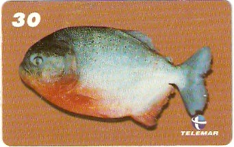 MA-261 - Peixes - 04/10