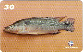 MA-264 - Peixes - 07/10