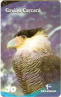 BA-940 - Fauna - 10/10