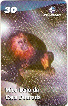 BA-933 - Fauna - 03/10