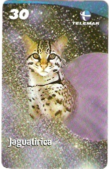 BA-935 - Fauna - 05/10