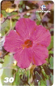 MA-379 - Passagens Bíblicas - 02/10