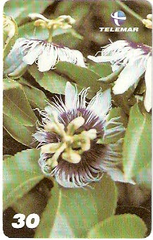 MA-381 - Passagens Bíblicas - 04/10