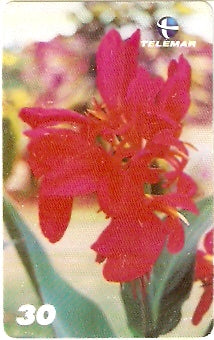 MA-383 - Passagens Bíblicas - 06/10