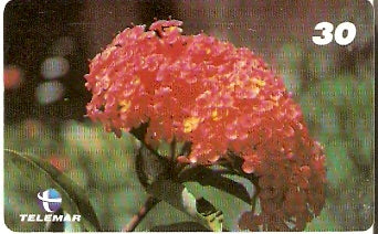 MA-378 - Passagens Bíblicas - 01/10