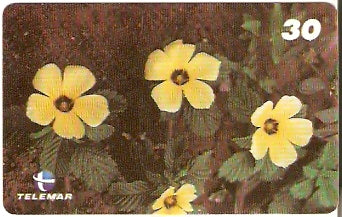 MA-380 - Passagens Bíblicas - 03/10