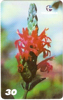 MA-384 - Passagens Bíblicas - 07/10