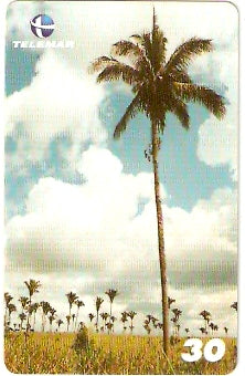 MA-399 - Babaçú - 02/10