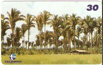 MA-398 - Babaçú - 01/10