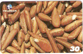 MA-405 - Babaçú - 08/10