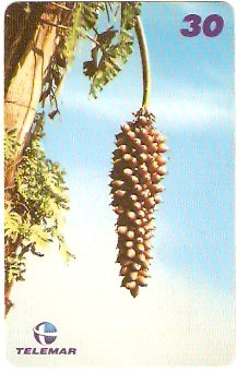 MA-401 - Babaçú - 04/10