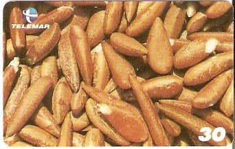 MA-420 - Amêndoa