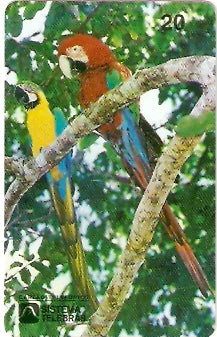 AM-015 - Araras