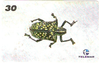 AM-145 - Insetos - 11/21