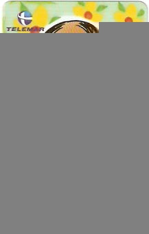 AM-360 - Dia da Secretária