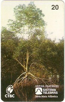 CTBC-017 - Manguezal