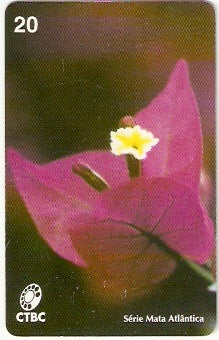 CTBC-034 - Primavera
