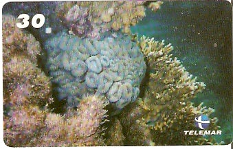 AL-091 - Recifes e Corais - 07/28