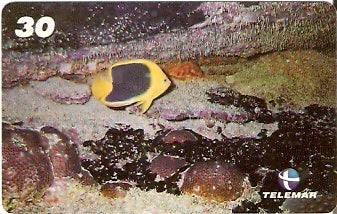 AL-098 - Recifes e Corais - 09/28