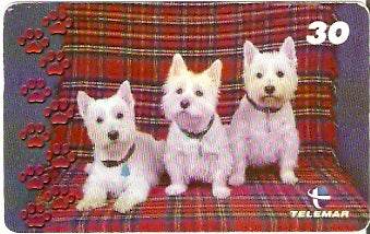 SE-147 - Cachorros - 09/10