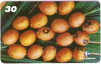 AP-078 - Tucumã