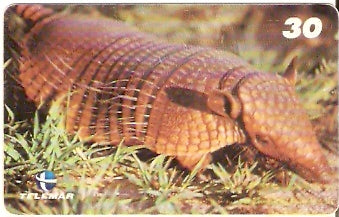 AP-055 - Tatu Peba