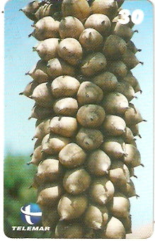 PI-233 - Coco Babaçu