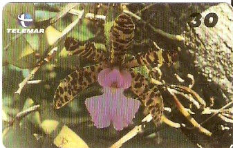 BA-160 - Orquídeas - 01/10