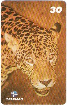BA-758 - Grandes Animais - 07/10