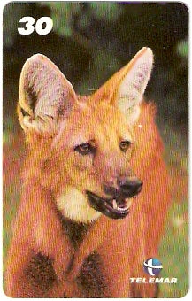 BA-757 - Grandes Animais - 06/10