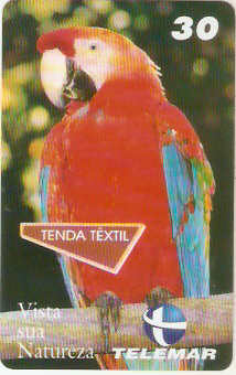 MG-0222M - Tenda Têxtil - 3/4