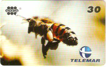 MG-0478M - Apícola São Caetano - 1