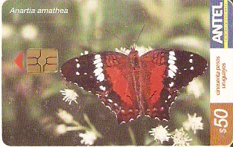 URU-C-285a - Borboleta