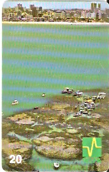 PB-013 - Picãozinho