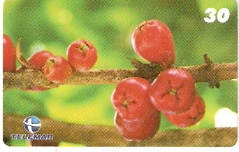 PE-778 - Frutas Tropicais - 12/12