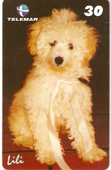 PE-786 - Poodle