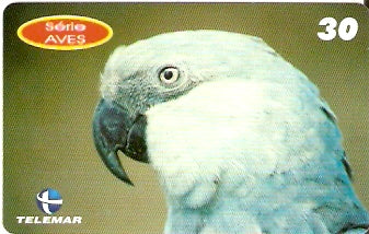 PE-823 - Aves - 03/10