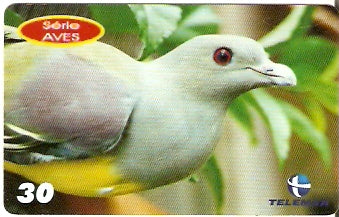 PE-825 - Aves - 05/10
