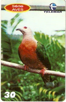 PE-828 - Aves - 08/10