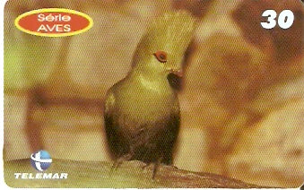 PE-830 - Aves - 10/10