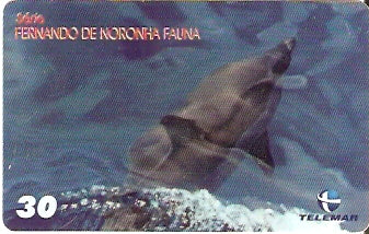 PE-837 - Fauna - 01/10