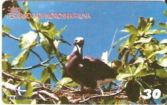 PE-839 - Fauna - 03/10