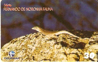 PE-843 - Fauna - 07/10