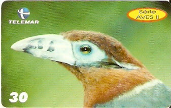 PE-877 - Aves 2 - 02/10